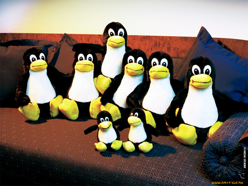 linux, 